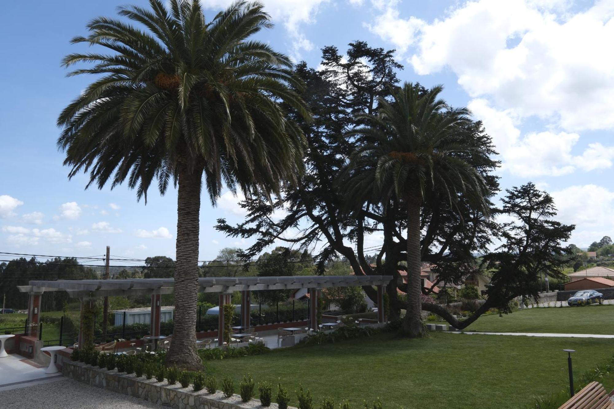 Hotel El Rosal De Cudillero Dış mekan fotoğraf